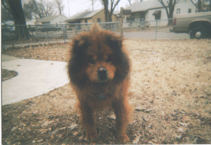 wasn't he cute?